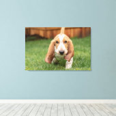 Basset Houng Puppy Walking Canvas Afdruk (Insitu (Houten vloer))
