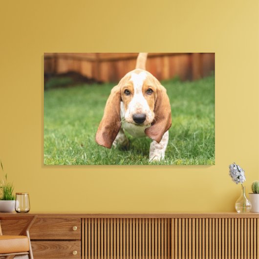 Basset Houng Puppy Walking Canvas Afdruk (Insitu (Woonkamer))
