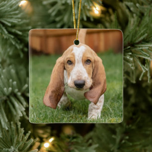 Basset Houng Puppy Walking Keramisch Ornament