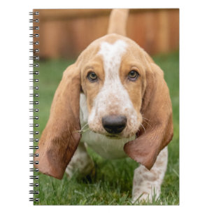 Basset Houng Puppy Walking Notitieboek
