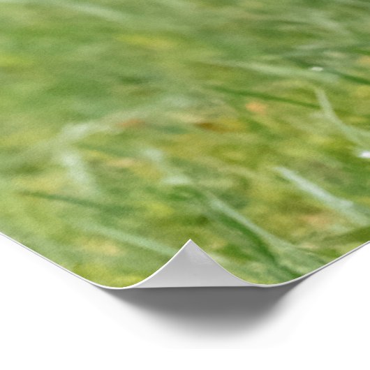 Basset Houng Puppy Walking Poster (Hoek)