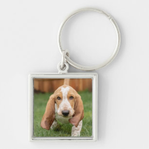 Basset Houng Puppy Walking Sleutelhanger