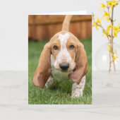 Basset Houng Puppy Walting Kaart (Gele Bloem)