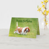 Basset & Lunch op een leuke Kaart (Gele Bloem)