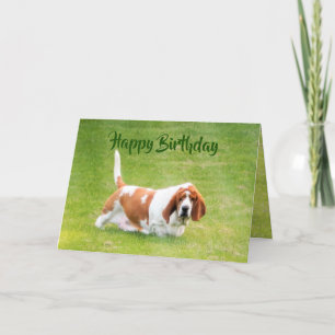 Basset & Lunch op Funny Birthday Card Kaart