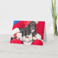Basset Plakkende Tong uit op de Overlapping van de