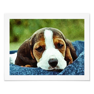 Basset Puppy Resting - Bruin zwart-wit Foto Afdruk
