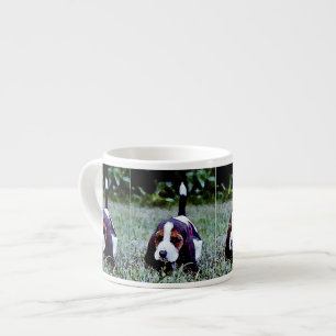 Basset Puppy Walking - Black Brown White Espresso Kop