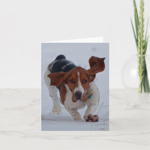 Basset snel kaart
