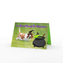 Basset "Witch" met Frog & Cauldron op Halloween Ka