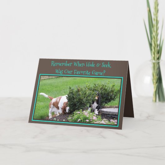 Bassets spelen "Hide & Seek" op de Kaart van de ve (Voorkant)