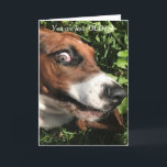 Bassett Hound Birthday Card Funny Kaart<br><div class="desc">Mijn zus heeft dit afbeelding in de campus doorgesneden.   Het is een 5 maanden oude Basset Hound.   Ze had de perfecte expressie.</div>