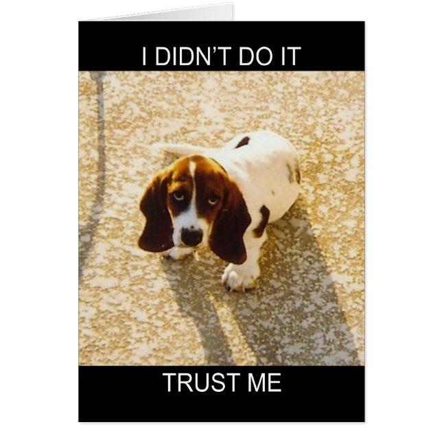 Bassett Hound-kaarten (Voorkant)