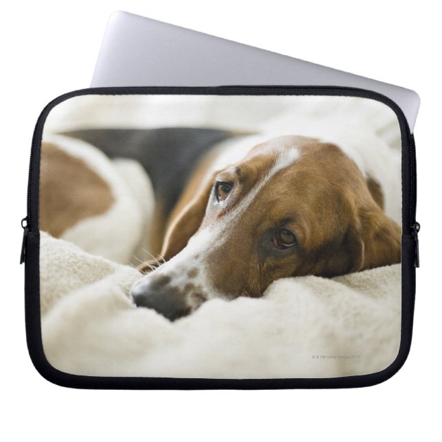 Bassett Hound Laptop Sleeve (Voorkant)