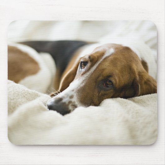 Bassett Hound Muismat (Voorkant)