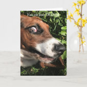 Bassett Hound Verjaardag Kaart Funny (Gele Bloem)