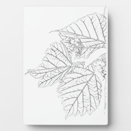 Basshoutwaren Fotoplaat