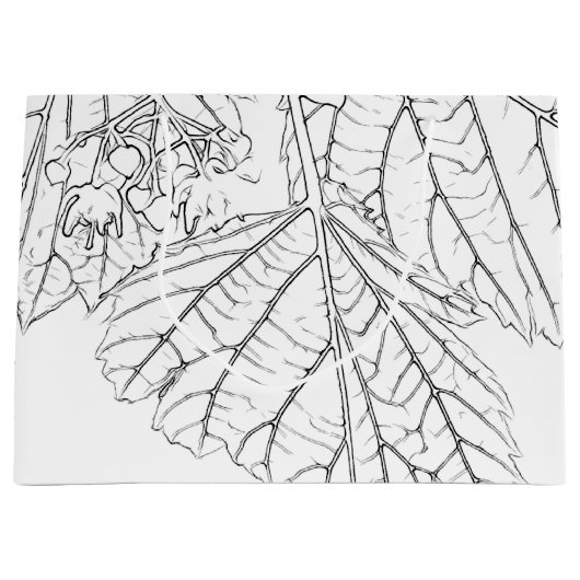 Basshoutwaren Groot Cadeauzakje (Voorkant)