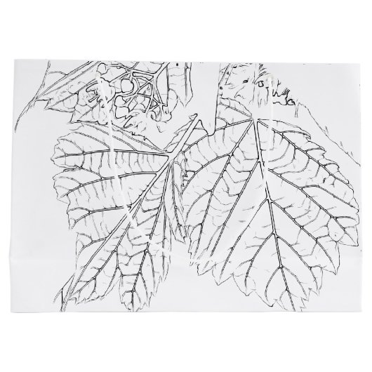 Basshoutwaren Groot Cadeauzakje (Achterkant)