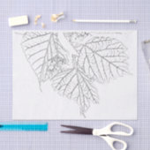 Basshoutwaren Tissuepapier (Craft)