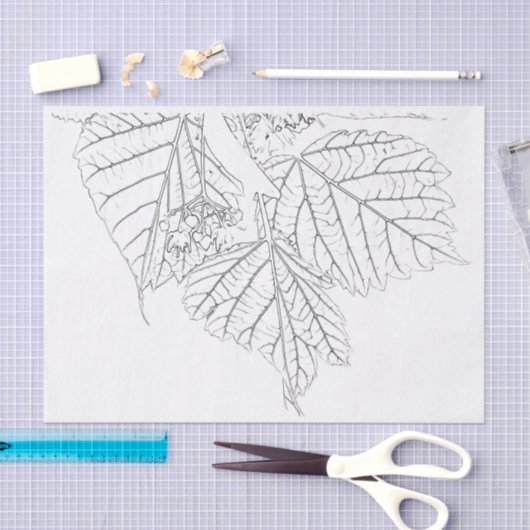 Basshoutwaren Tissuepapier (Craft)