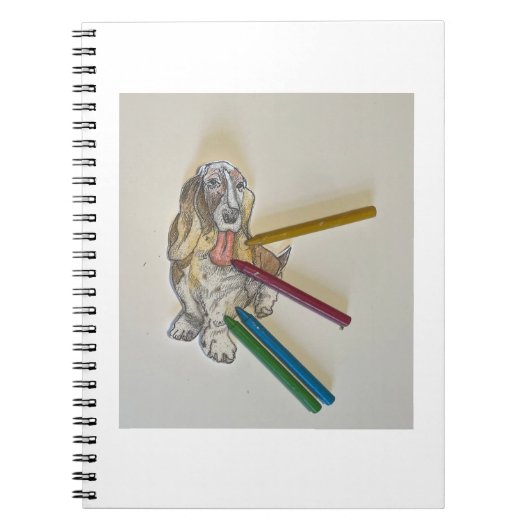 Bassie's Notitieboeken (Voorkant)