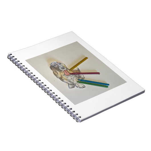 Bassie's Notitieboeken (Rechterzijde)