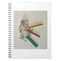 Bassie's Notitieboeken