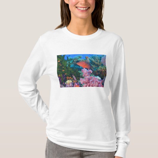Basslets voor schoolkinderen (Pseudanthias) T-shirt (Voorkant)