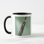 Bassoon Mok (Links)