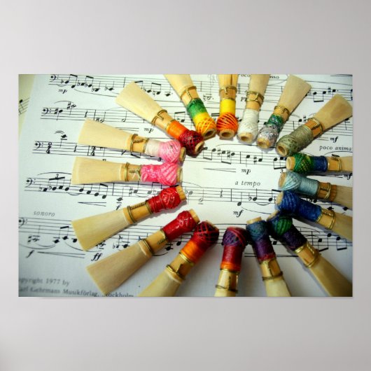 Bassoon Reed Rainbow Poster (Voorkant)