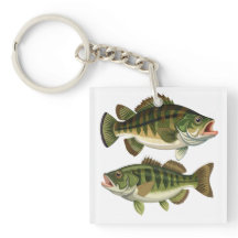 Bassvissen Vissers en Visvrouwen