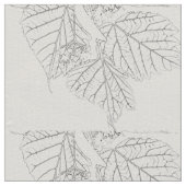 Basswood Bladeren Stof (Close Up)
