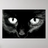 Bast Poster (Voorkant)