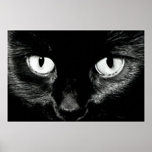 Bast Poster (Voorkant)