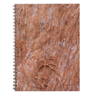 bast van boom in een bos notitieboek