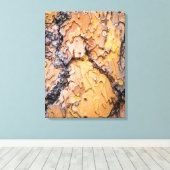 Bast van de ponderosadennen, Washington Canvas Afdruk (Insitu (Houten vloer))