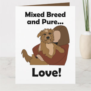 Bastaard Hond Gemengd Ras Pure Liefde Huisdier Ver Kaart