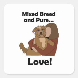 Bastaardhond Gemengd Ras Pure Liefde Huisdier Verj Vierkante Sticker