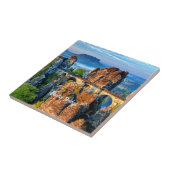 Bastei Bridge, Saxon, Zwitserland Tegeltje (Zijkant)
