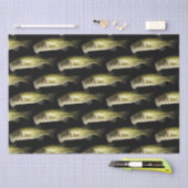 Basvis mannelijk patroon Mannen Tissuepapier (Craft)