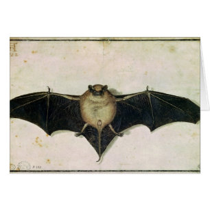 Bat, 1522