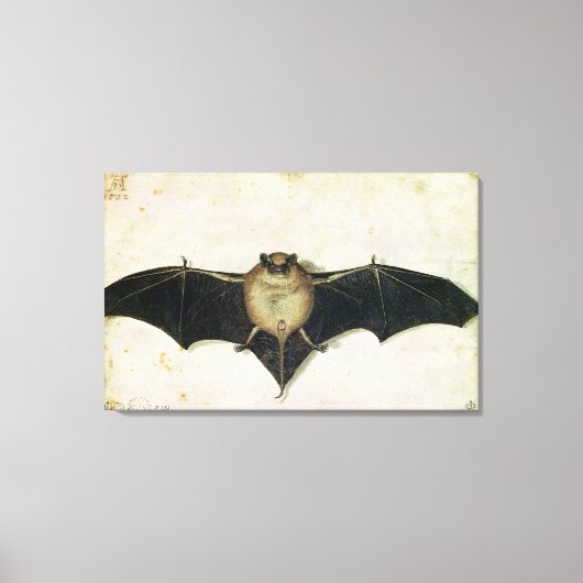 Bat, 1522 canvas afdruk (Voorkant)