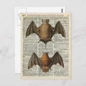 Bat Anatomy Briefkaart (Voorkant / Achterkant)