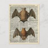 Bat Anatomy Briefkaart (Voorkant)