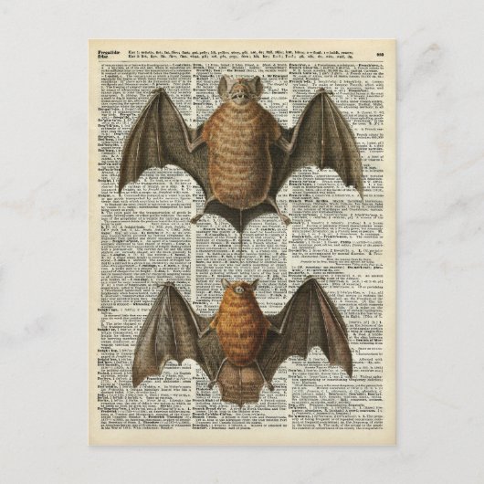 Bat Anatomy Briefkaart (Voorkant)