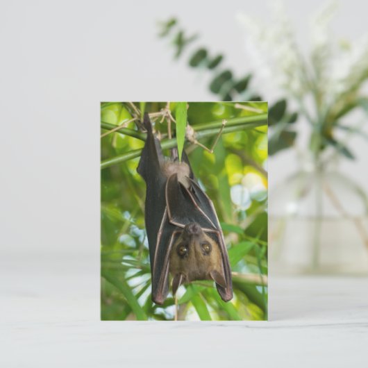 Bat Briefkaart (Staand voorkant)