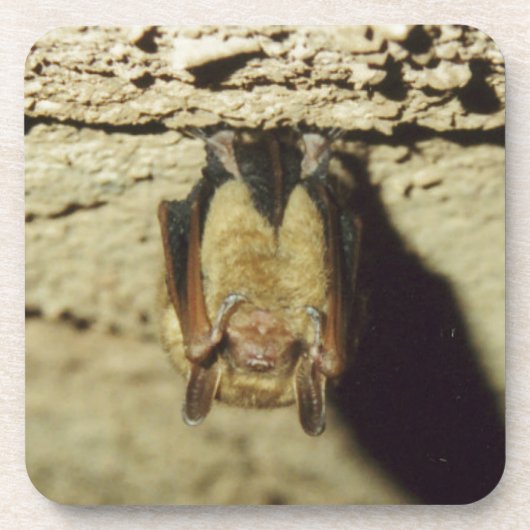 Bat Drankjes Onderzetter (Voorkant)