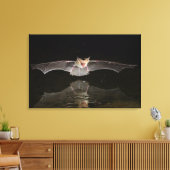 Bat drink tijdens de vlucht, Arizona Canvas Afdruk (Insitu (Woonkamer))