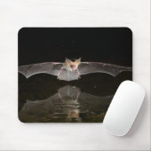 Bat drink tijdens de vlucht, Arizona Muismat (Met muis)